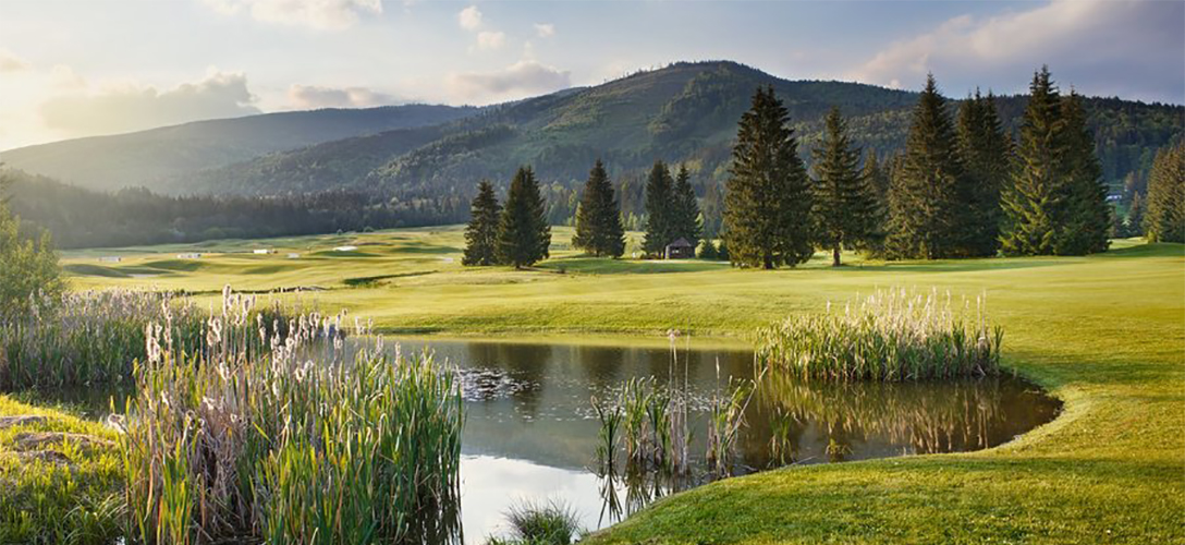 Golf Resort Tále - Gray Bear & Little Bear